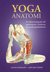 Yoga : anatomi