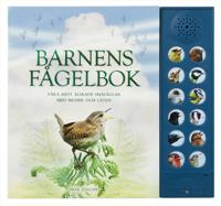 Barnens fågelbok : våra mest älskade småfåglar med bilder och läten