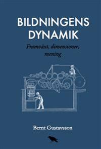 Bildningens dynamik : Framväxt dimensioner mening