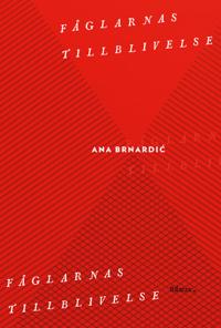 Fåglarnas tillblivelse