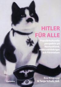 Hitler für alle : populärkulturella perspektiv på Nazityskland andra världskriget och förintelsen