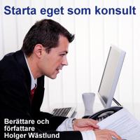 Starta eget som konsult – IT-konsult PR-konsult ekonomikonsult byggkonsult m.m.