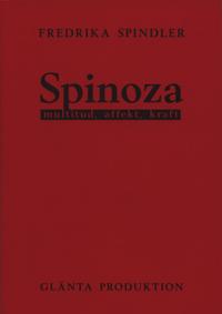 Spinoza: multitud, affekt, kraft