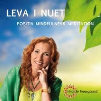 Leva i nuet : positiv mindfullness meditation