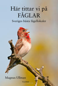 Här tittar vi på fåglar : Sveriges bästa fågellokaler