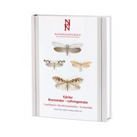 Fjärilar : bronsmalar – rullvingemalar. Lepidoptera : roesslerstammidae – lyoneti