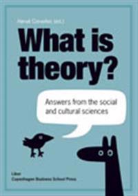 What is theory? : answers from the social and cultural sciences