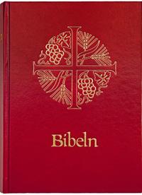 Bibel : Bibelkommissionens översättning : noter parallellhänvisningar uppslagsdel