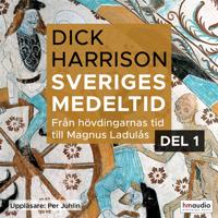 Sveriges medeltid 1. Från hövdingarnas tid till Magnus Ladulås