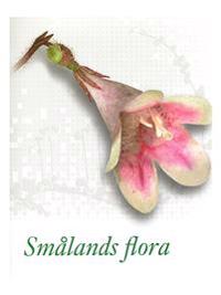 Smålands flora