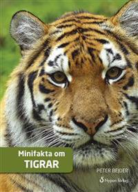 Minifakta om tigrar (CD + bok)