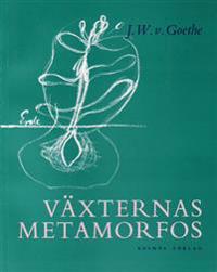 Växternas metamorfos