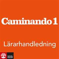 Caminando 1 Lärarhandledning Webb fjärde upplagan