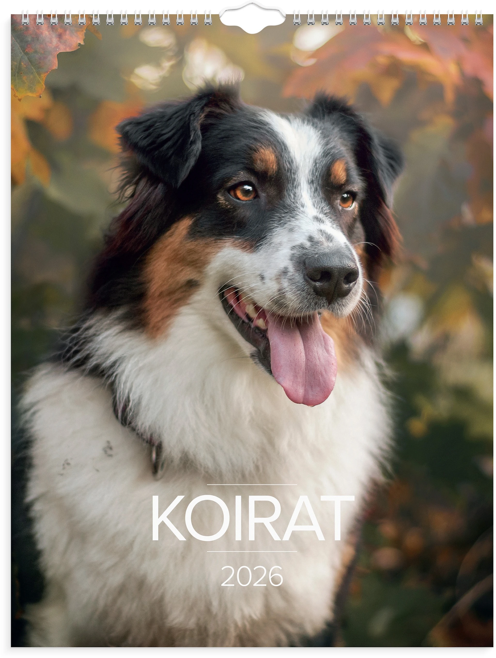 Tuotekuva ille Seinäkalenteri 2026 Koirat 295x390 mm Burde