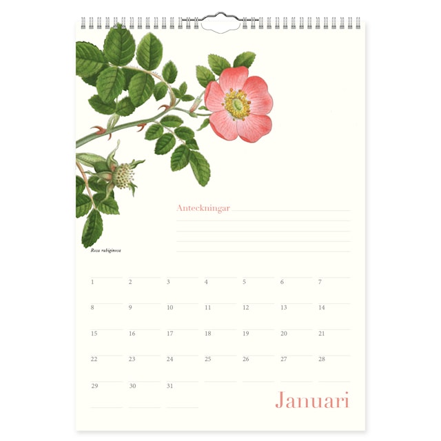 Produktbild 2 för Väggkalender Wildflower Odaterad A4 Gullers