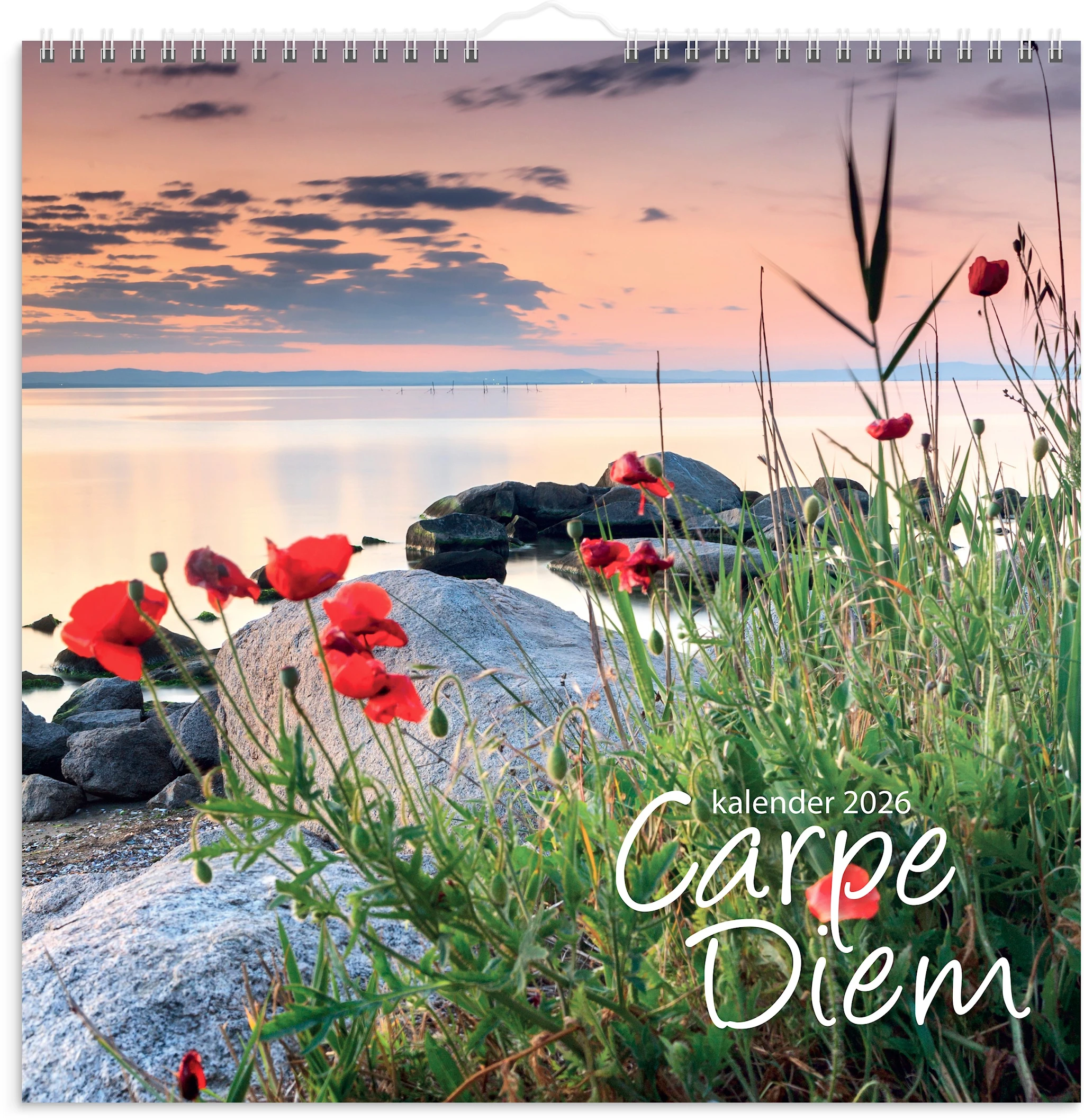 Produktbilde for Billedkalender 2026 Carpe Diem 300x300 mm GRIEG