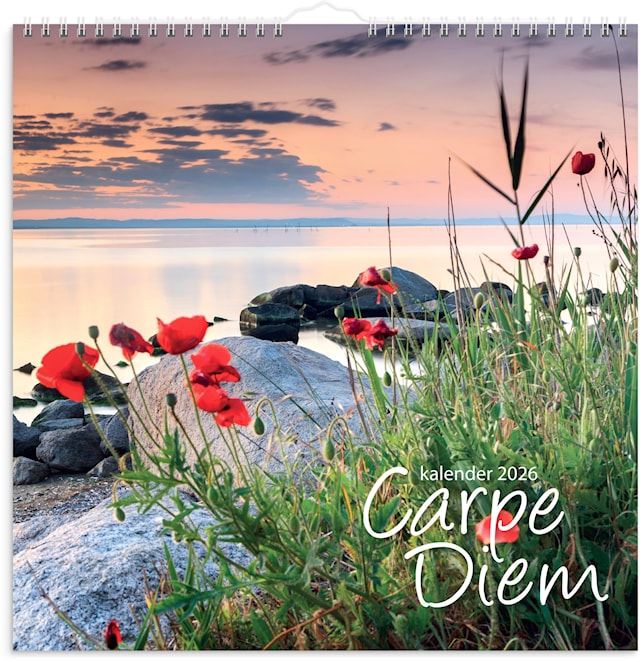 Produktbilde 1 for Billedkalender 2026 Carpe Diem 300x300 mm GRIEG