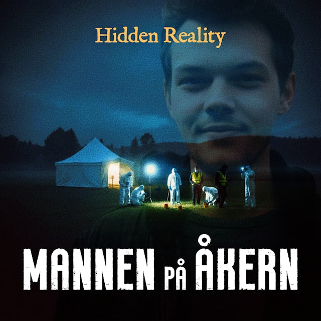 Mannen på åkern, Hidden Reality