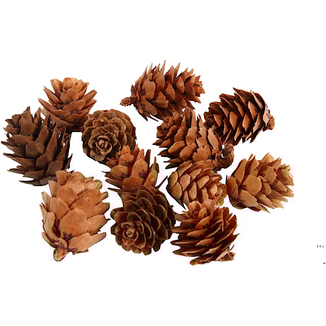 Produktbilde 2 for Lerk kjegler, 12 stk./ 1 pk.