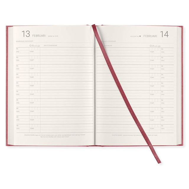 Produktbild 2 för 10-Års Dagbok A5 Red Twist Paperstyle