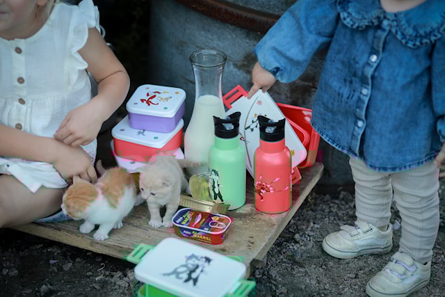 Produktbild 3 för Pelle Svanslös Snackbox 3-pack Rätt Start