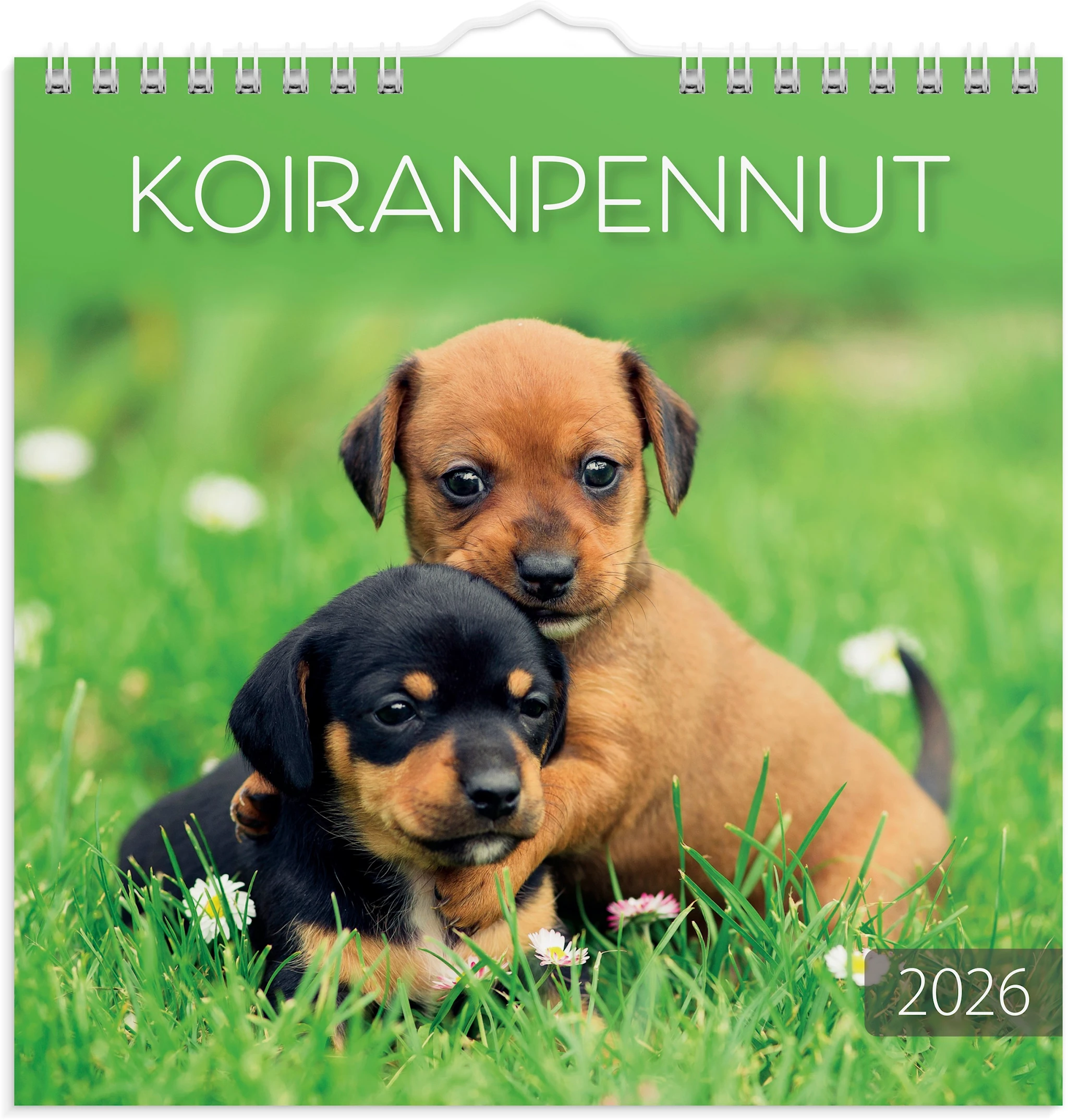 Tuotekuva ille Seinäkalenteri 2026 Koiranpennut 160x160 mm Burde