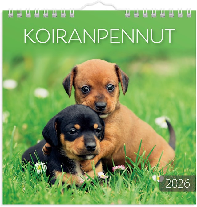 Tuotekuva 1 - Seinäkalenteri 2026 Koiranpennut 160x160 mm Burde