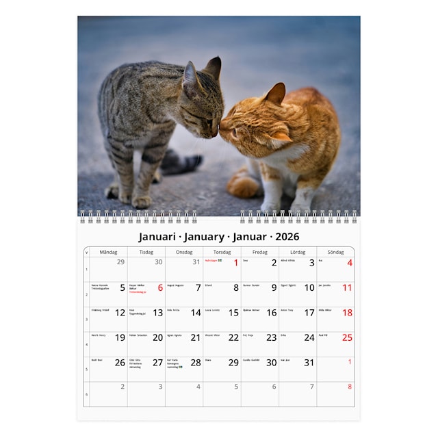 Produktbild 2 för Väggkalender Vänner 2026