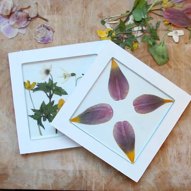 Produktbilde 5 for Gryteunderlag med glassplate, utv. mål 15x15x0,5 cm, innv. mål 11x11x0,55 cm, 6 stk.