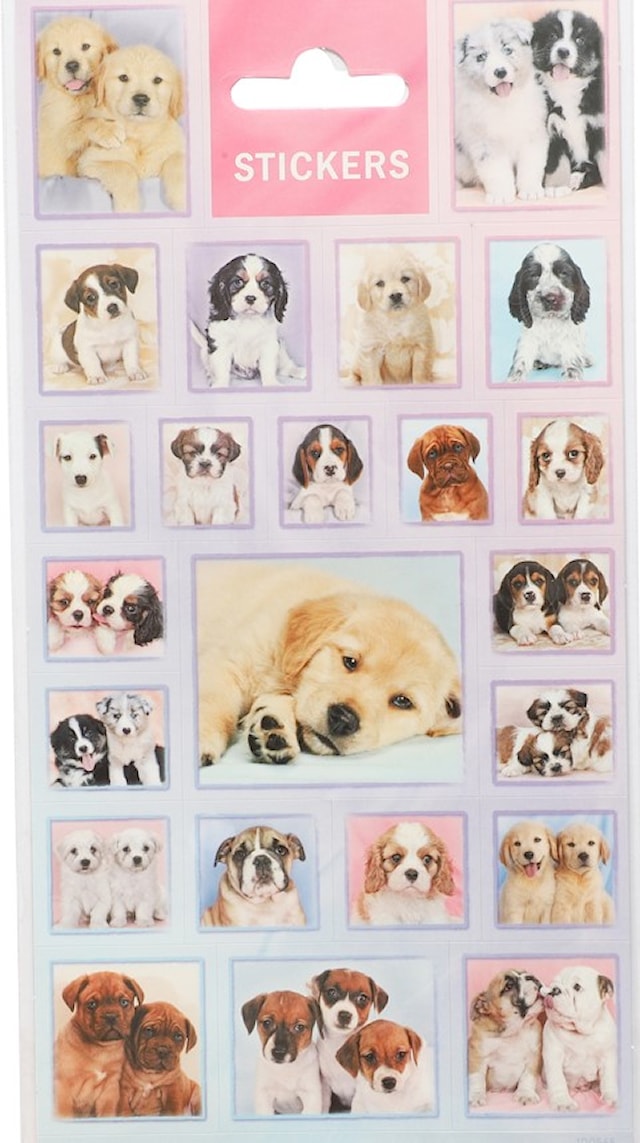 Tarrat Koiranpennut 1 arkki