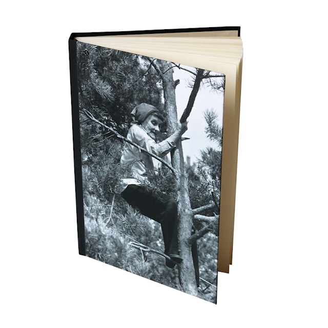 Produktbilde 3 for Notebook A5 Astrid Klatrer Astrid Lindgren