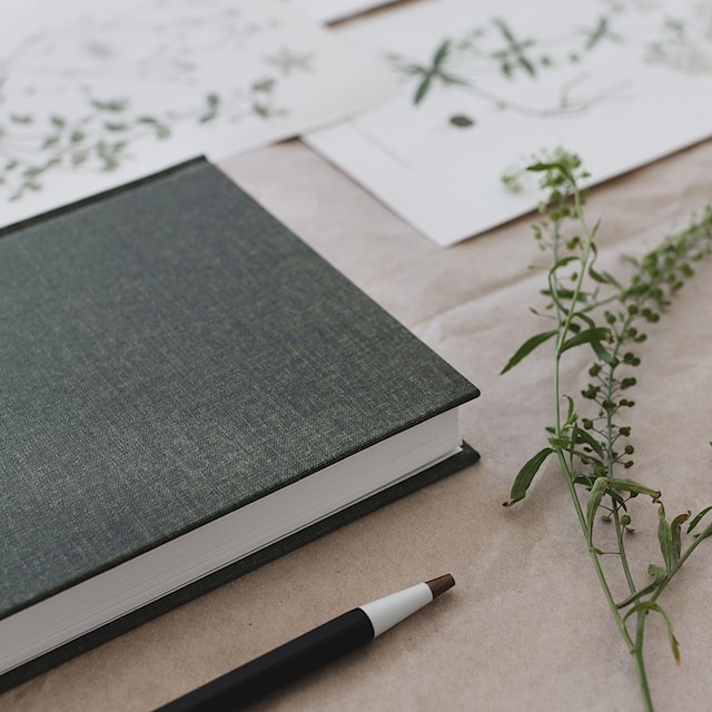 Produktbild 3 för Anteckningsbok A5 Classic Linjerad Khaki Green Paperstyle