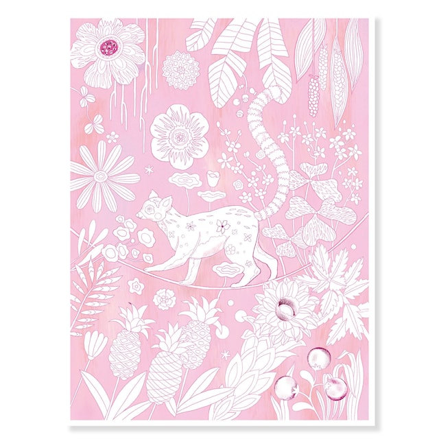 Produktbilde 3 for Malebilder fugler å fargelegge Djeco