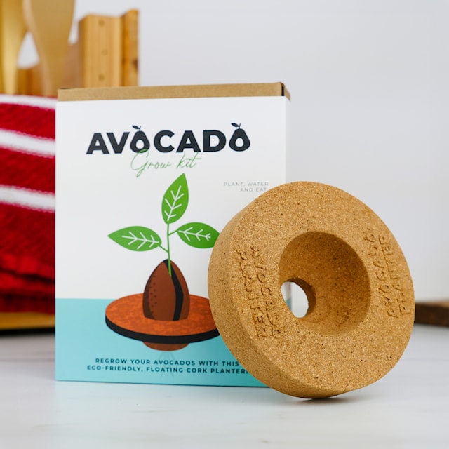 Produktbild 2 för Odlingskit Avocado, Gift Republic Ltd.
