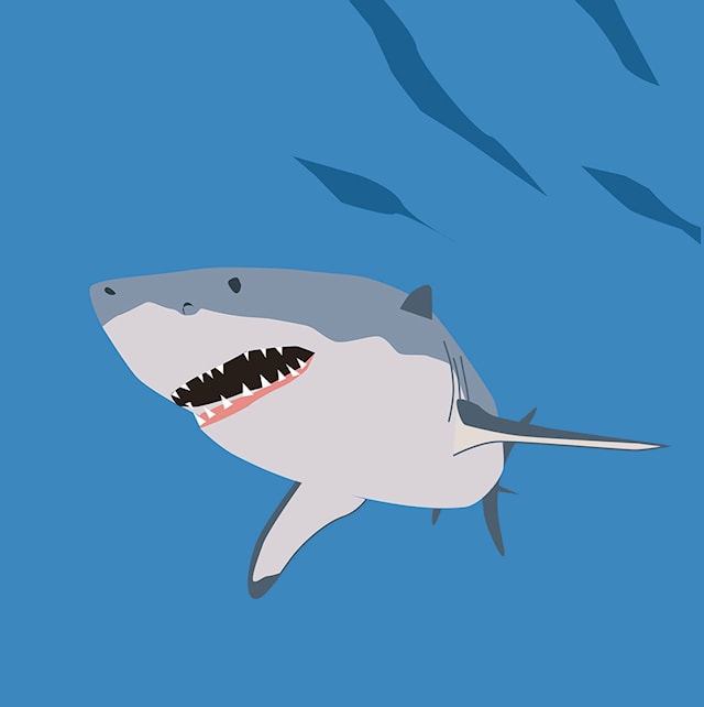 Tuotekuva 2 - Pop Up Card Shark 2 TOTANGO