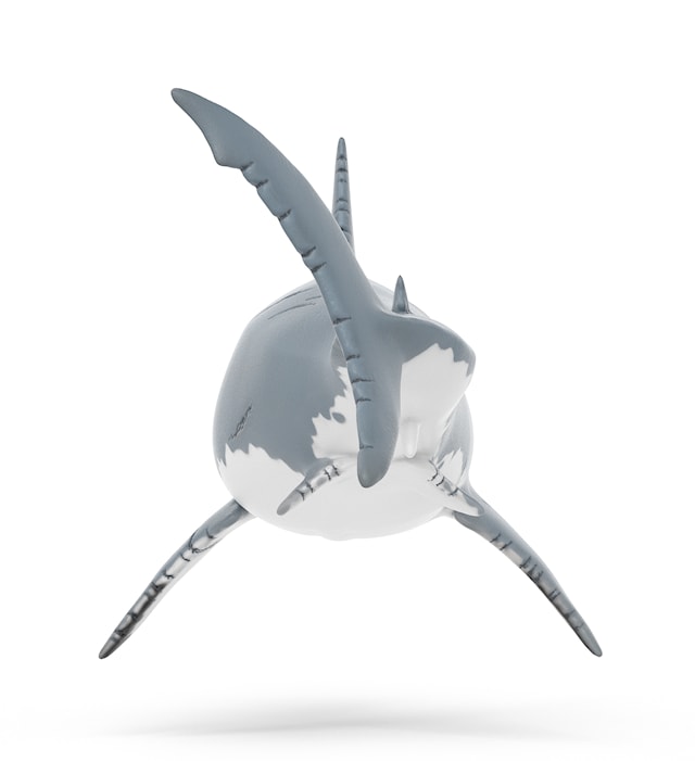 Produktbilde 3 for Dinosaurer Megalodon Schleich