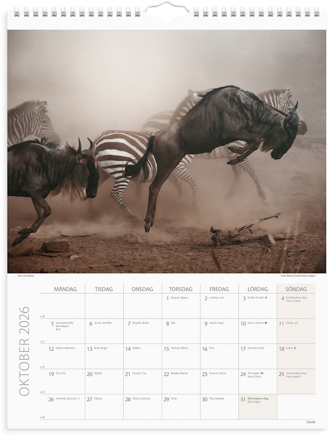 Tuotekuva 3 - Väggkalender 2026 Savannen 295x390 mm Burde
