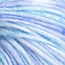 Blueberry Vanilla Bowl