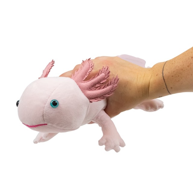 Produktbild 5 för World Of Natur Axolotl Gosedjur Animigos
