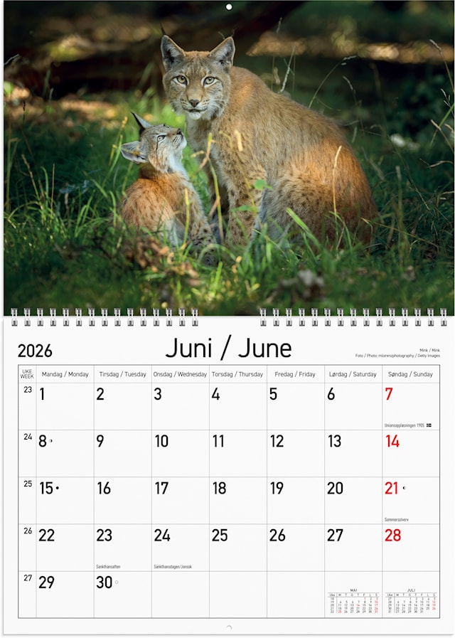 Produktbilde 2 for Veggkalender 2026 A4 Norske Dyr GRIEG