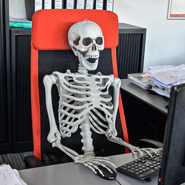 Produktbilde 6 for Human-size Skeleton 1.70m