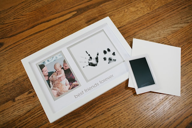 Produktbilde 4 for Best Friends Forever Ram Vit Pearhead