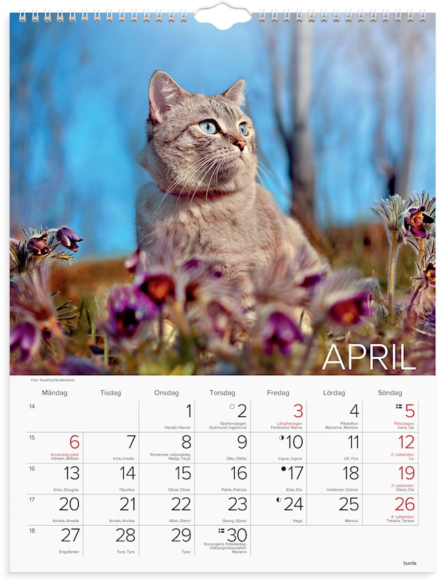 Produktbild 2 för Väggkalender 2026 Stora Kattkalendern 295x390 mm Burde