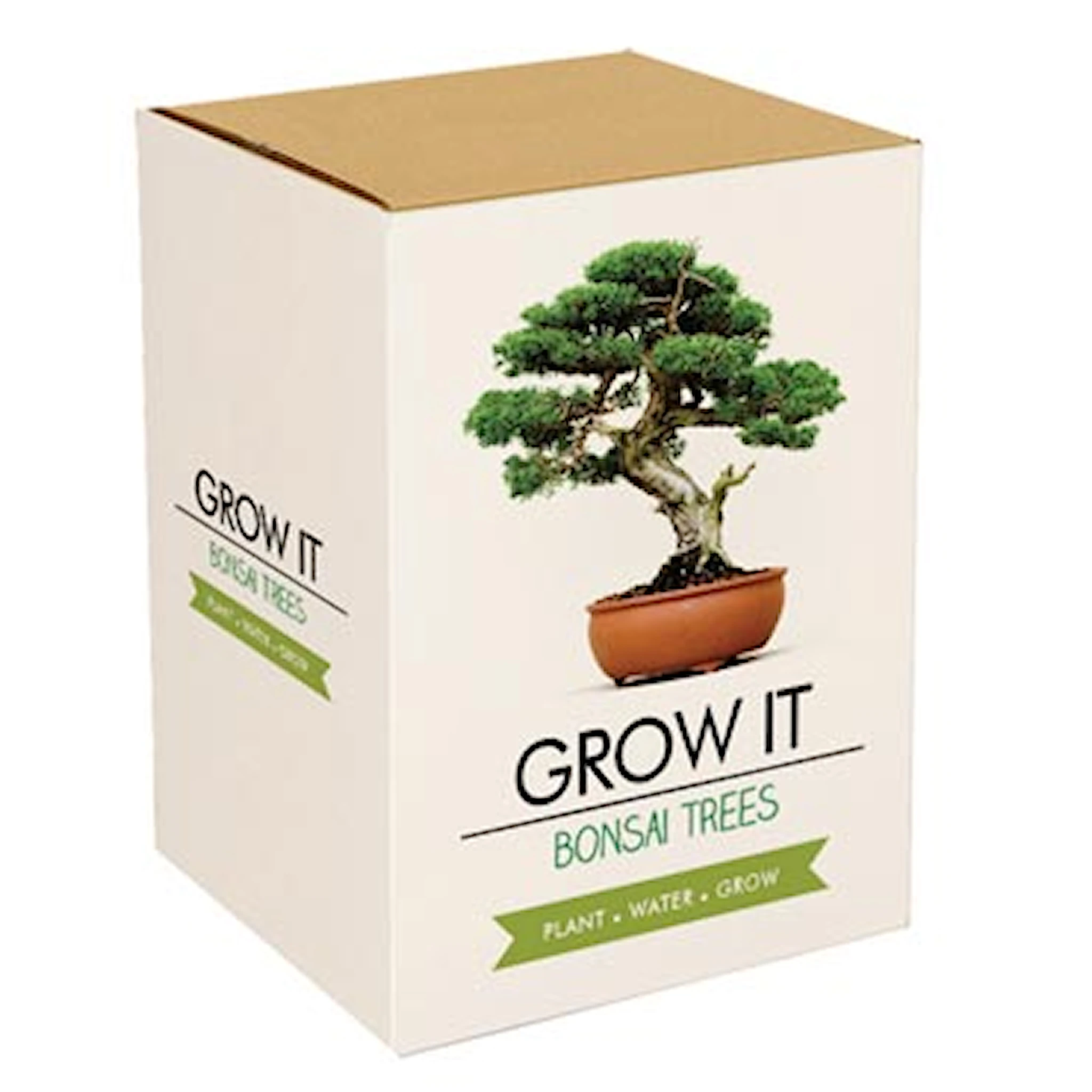 Produktbild för Odla Ditt Eget Bonsai Träd, Gift Republic