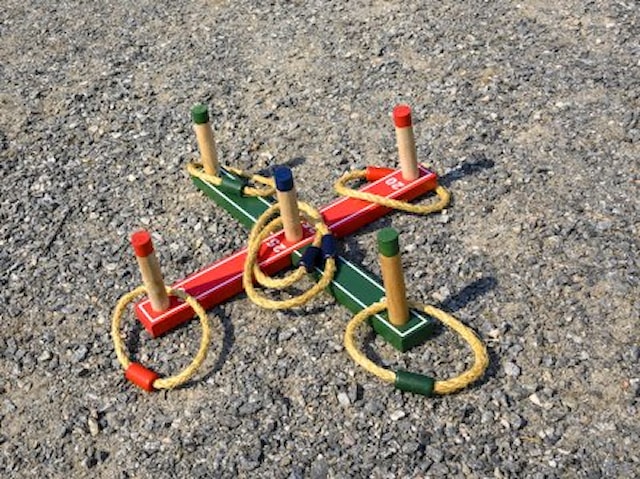 Produktbilde 3 for Spill Ringspill (SE/FI/NO)