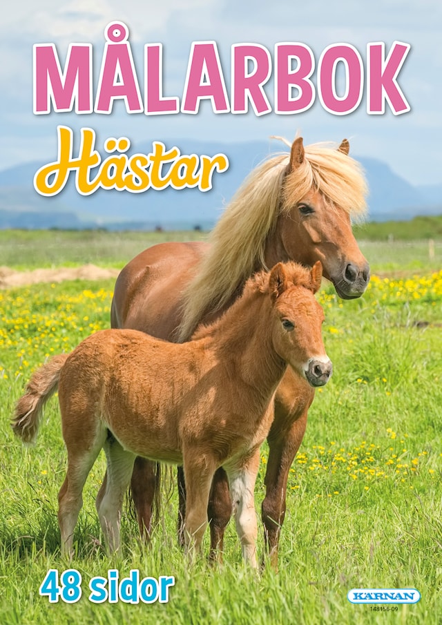 Målarbok Hästar, Kärnan