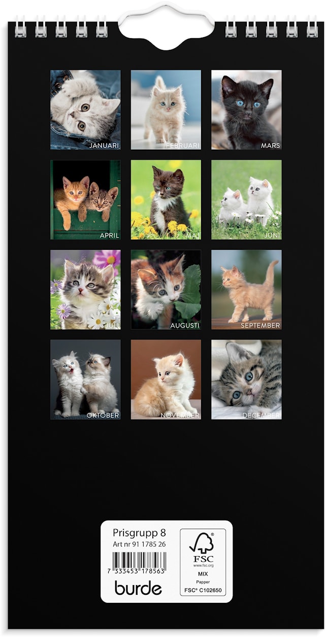 Produktbild 3 för Väggkalender 2026 Liten Kattkalender 120x230 mm Burde