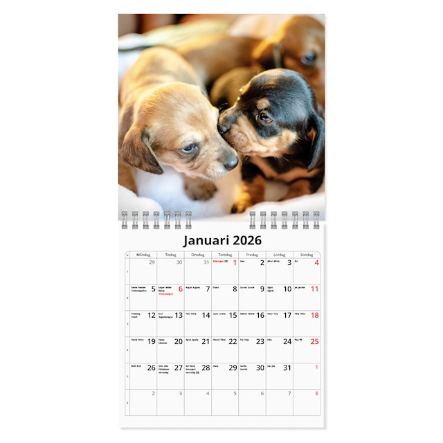 Produktbild 2 för Väggkalender Hundar Mini 2026