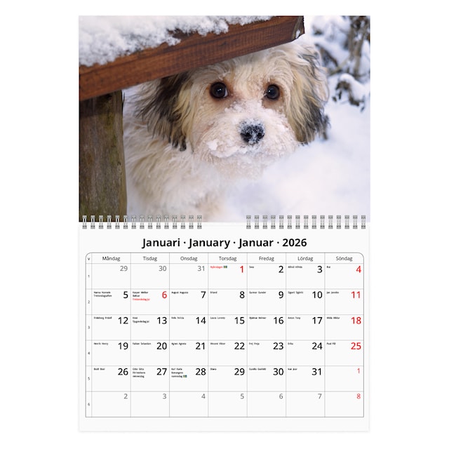 Produktbild 2 för Väggkalender Hundar Small 2026