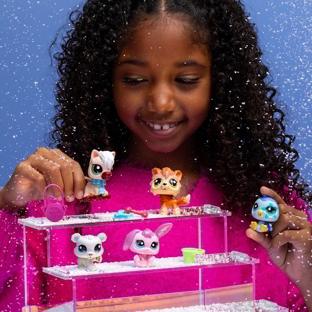 Produktbild 5 för Littlest Pet Shop Winter Besties Collectors 5-Pack